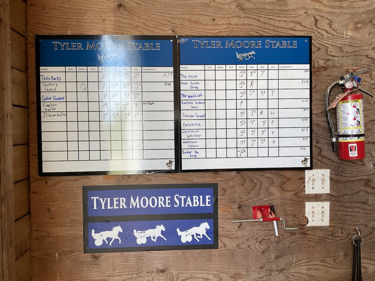 HORSE TRAILER STICKERS - Image 4
