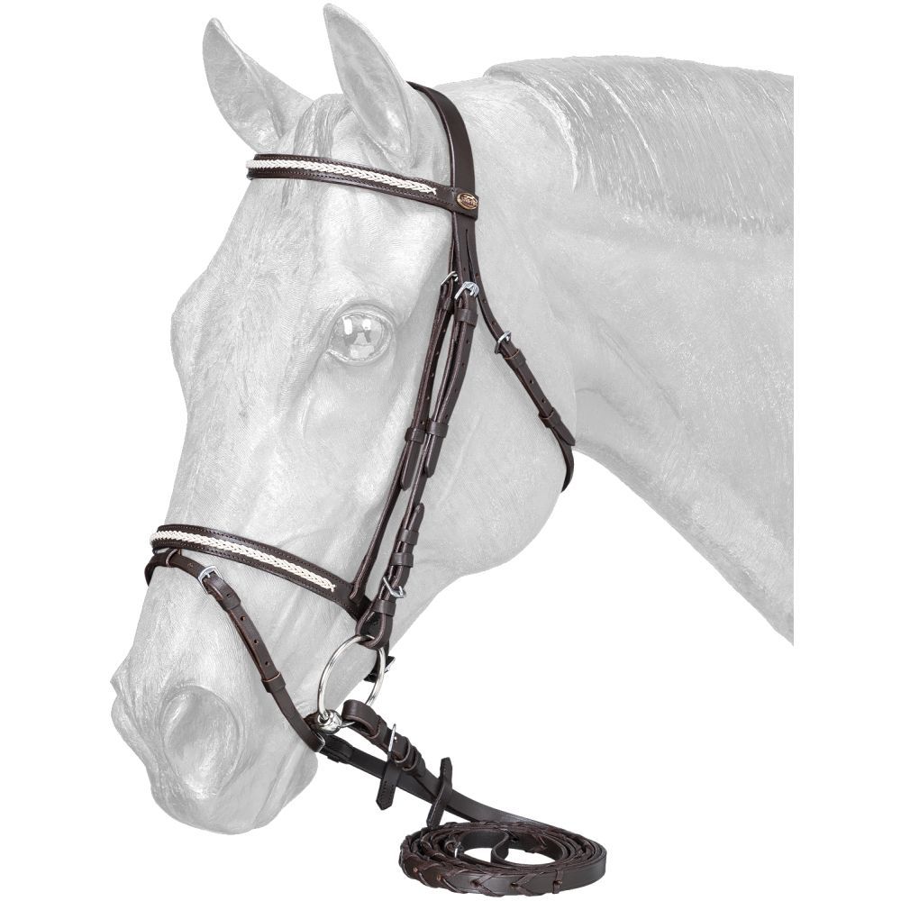 A white horse wearing a dark leather bridle with reins.