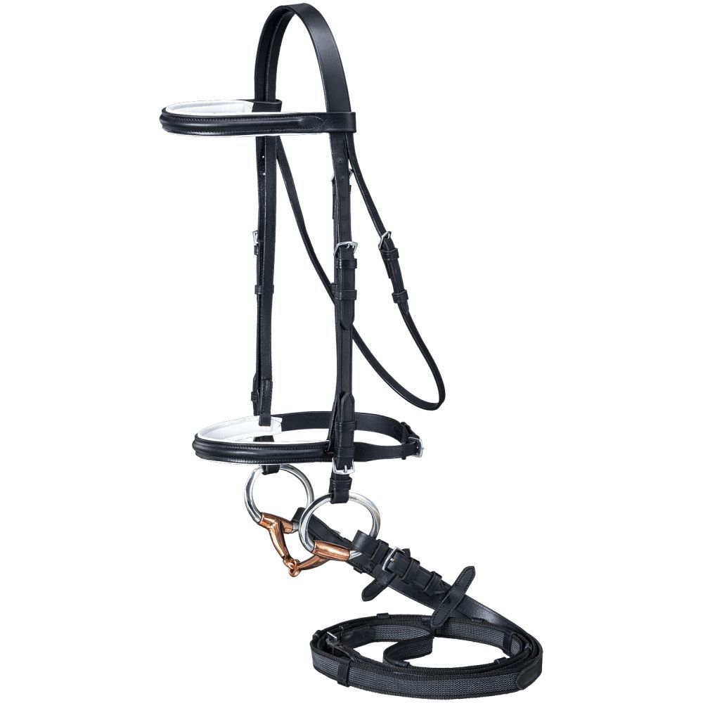 Black leather horse bridle and reins with metal buckles.