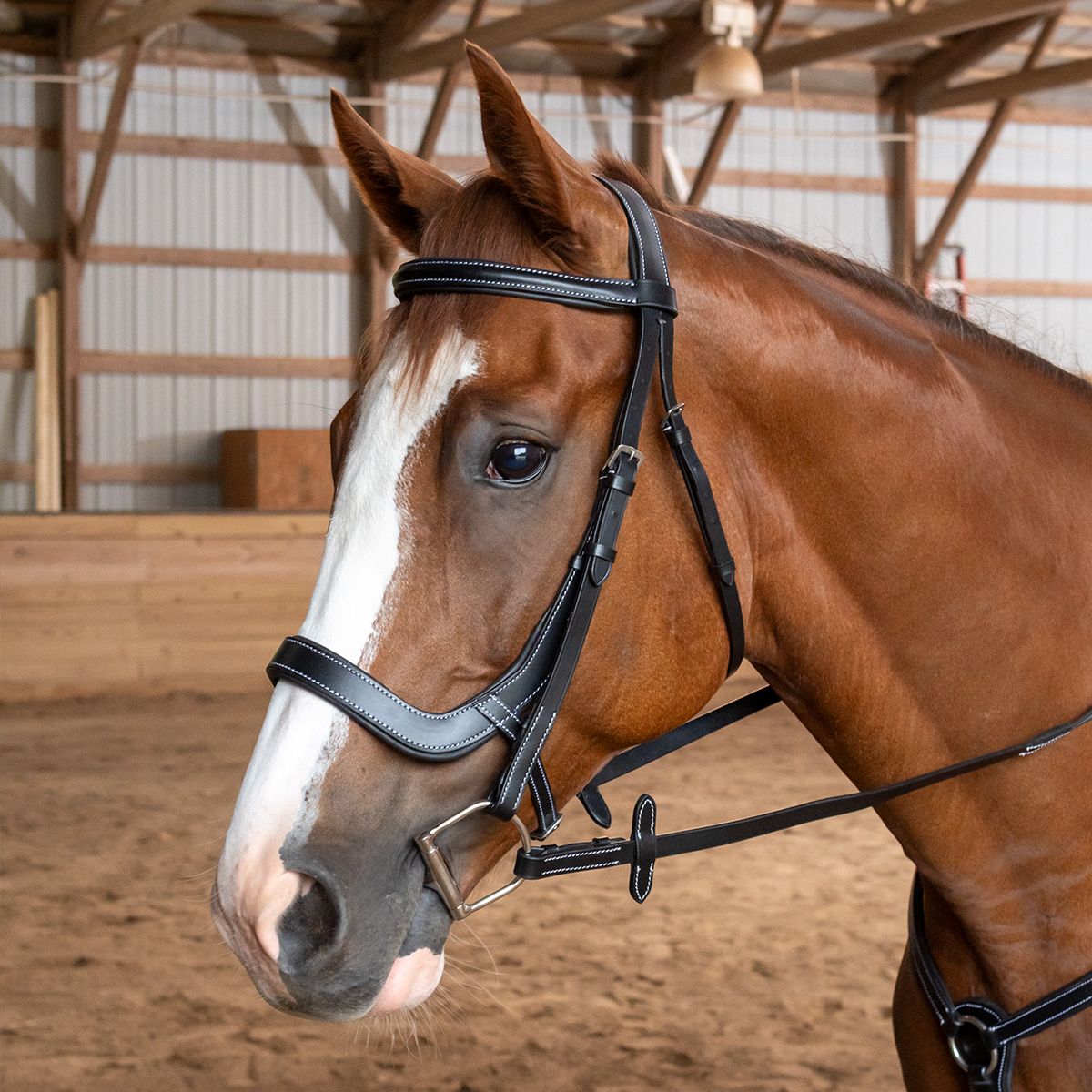 Close-up of a brown horse with a white blaze wearing a bridle indoors.